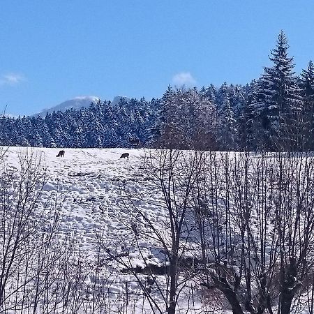 Hotel La Ferme Du Bois Barbu Villard-de-Lans Zewnętrze zdjęcie