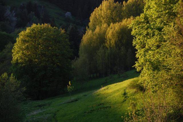 Hotel La Ferme Du Bois Barbu Villard-de-Lans Zewnętrze zdjęcie
