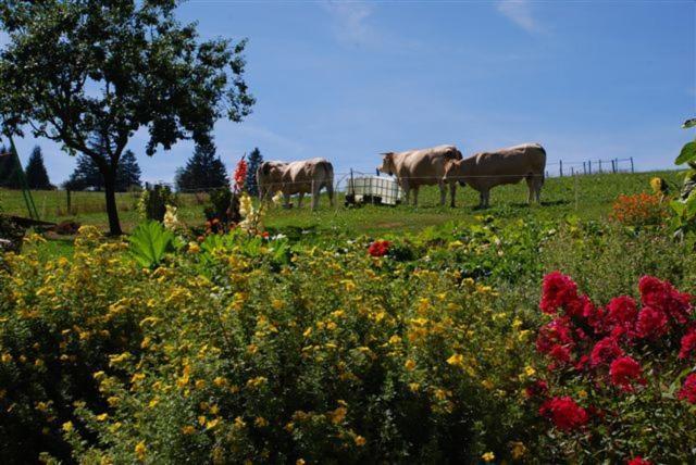 Hotel La Ferme Du Bois Barbu Villard-de-Lans Zewnętrze zdjęcie