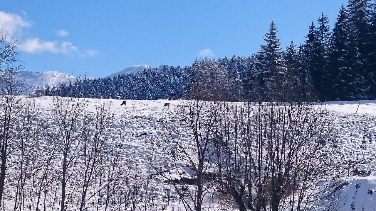 Hotel La Ferme Du Bois Barbu Villard-de-Lans Zewnętrze zdjęcie